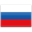 Russian Federation icon